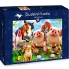 Bluebird Puzzle: Petting Farm (500)