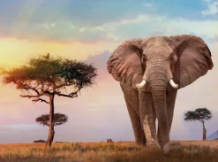 Clementoni: African Sunset (500)