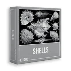 Cloudberries - Shells (1000)