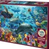 Cobble Hill: Coral Sea (2000)