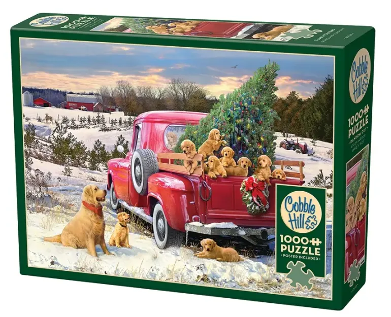 Cobble Hill: Family Outing (1000)