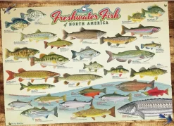 Cobble Hill: Freshwater Fish of North America (1000)