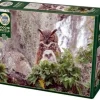 Cobble Hill: Great Horned Owl (1000)