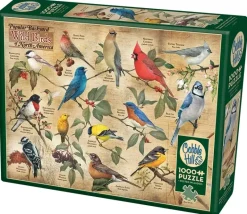 Cobble Hill: Popular Backyard Wild Birds of North America (1000)