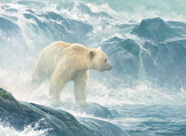 Cobble Hill: Salmon Watch - Spirit Bear (500)