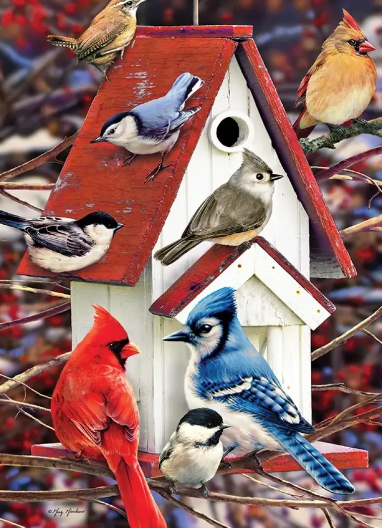 Cobble Hill: Winter Birdhouse (500)