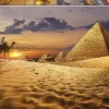Educa: Camel in the Dessert (1000)