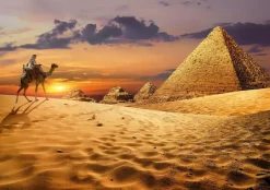 Educa: Camel in the Dessert (1000)