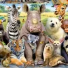 Educa: It's a Class Photo (300)