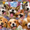 Educa: Puppies Selfie (1000)