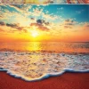 Educa: Sunset (1000)
