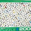 EuroGraphics: David Sibley - The World of Birds (2000)