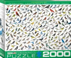 EuroGraphics: David Sibley - The World of Birds (2000)