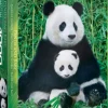 EuroGraphics: Panda and Baby (1000)