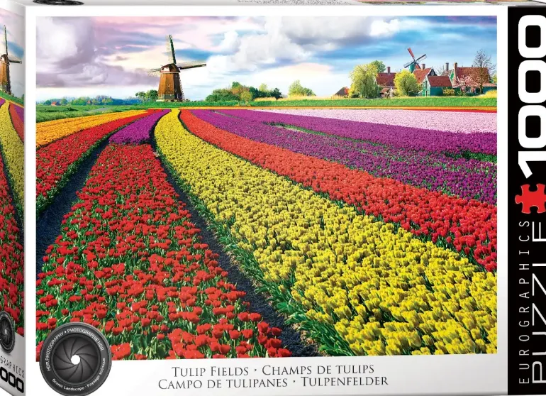 EuroGraphics: Tulip Fields (1000)