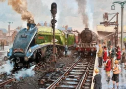 Gibsons: David Noble - Spotters at Doncaster (1000)