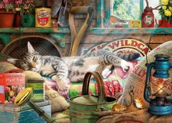 Gibsons: Steve Read - Snoozing in the Shed (1000)