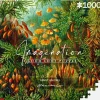 Good Loot: Imagination - Ernst Haeckel, Mucinae (1000)