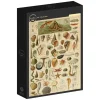 Grafika: Larousse - Molluscs II (1000)