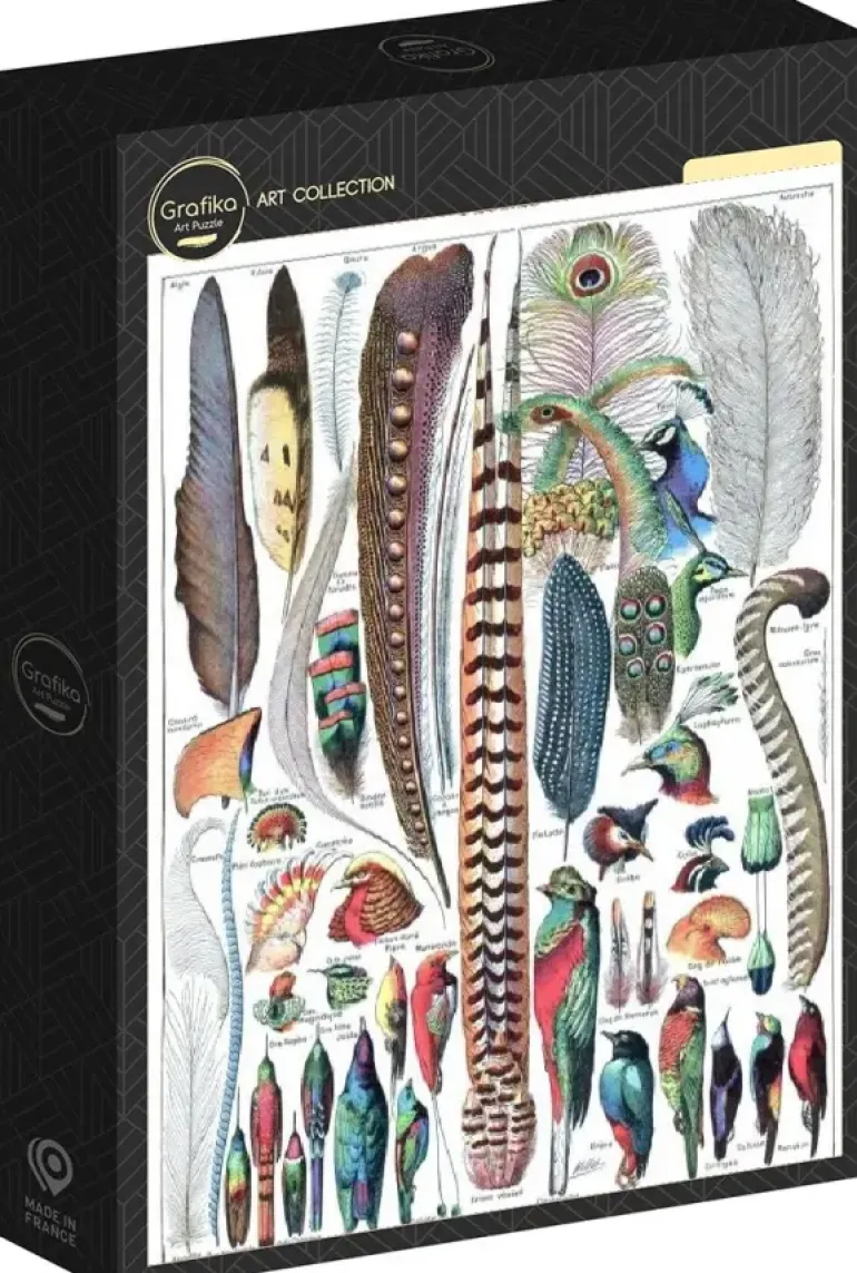 Grafika: Larousse pour Tous - Feathers (1000)