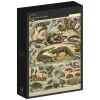 Grafika: Nouveau Larousse - Reptiles (1000)