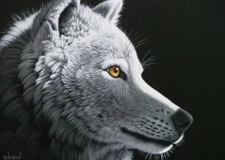 Grafika: Schim Schimmel - Wolf Light (1000)
