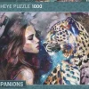 Heye: Companions - Aligned Destiny (1000)