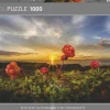 Heye: Humboldt - Cloudberries (1000)
