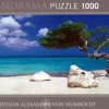 Heye: Panorama - Humboldt, Divi Divi Tree (1000)