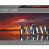Heye: Panorama - Humboldt, King Penguins (1000)