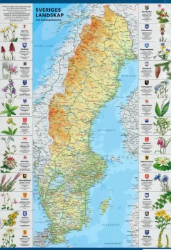 Kartförlaget: Sverige karta med landskapsblommor (1000)