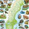 Larsen: Rampussel - Sverigekarta med svenska djur (71)