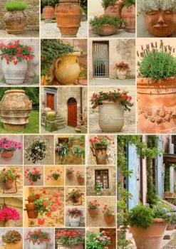 Piatnik: Clay Pots with Flowers (1000)