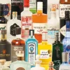 Piatnik: Taste of Gin (1000)
