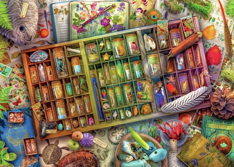 Ravensburger: Aimee Stewart - The Natural World (1000)