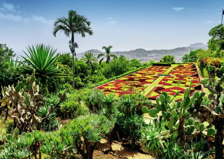 Ravensburger: Beautiful Gardens - Botanical Garden, Madeira (1000)