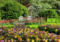 Ravensburger: Beautiful Gardens - Keukenhof Gardens, Netherlands (1000)