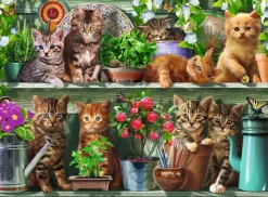 Ravensburger: Cats on the Shelf (500)