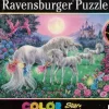 Ravensburger: Color Star Line - Unicorns in the Moonlight (100)