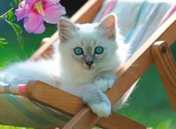 Ravensburger: Deckchair Kitty (200)