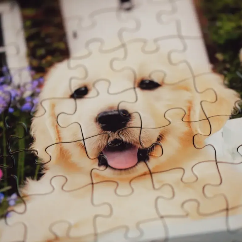 Ravensburger: Golden Retriever (200)