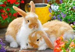 Ravensburger: Guinea Pigs & Bunnies (2 x 12)