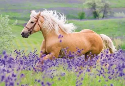 Ravensburger: Horse Friends (2 x 24)