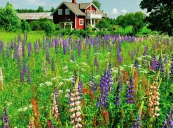 Ravensburger: Scandinavian Places - Farm in Sweden (500)