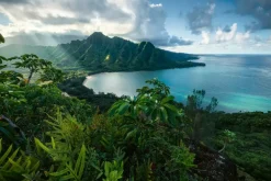 Ravensburger: Stefan Hefele - Hawaiian Viewpoint (5000)