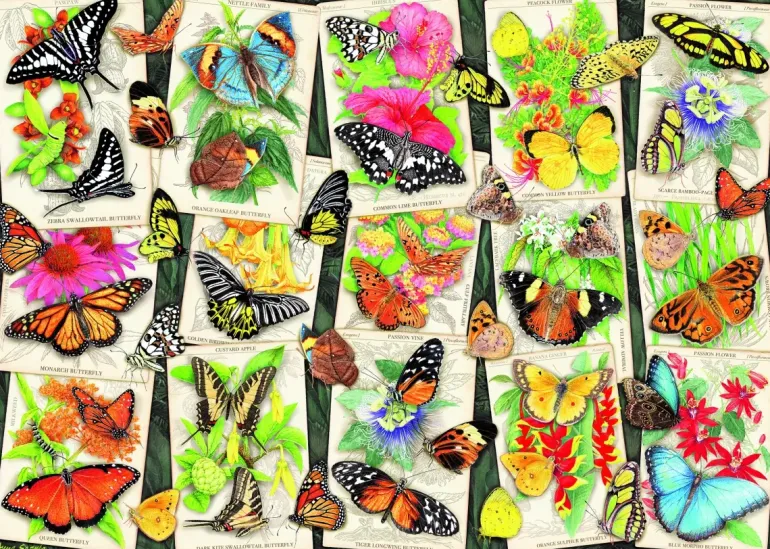 Ravensburger: Tropical Butterflies (1000)