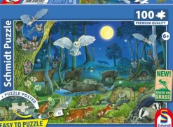 Schmidt: Animals in a Night-time Forest (100)