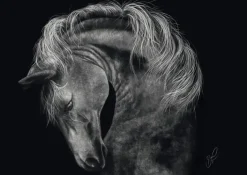 Schmidt: Ashley Rader - Power, Horse - The Epitome of Strength (1000)