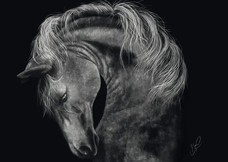 Schmidt: Ashley Rader - Power, Horse - The Epitome of Strength (1000)