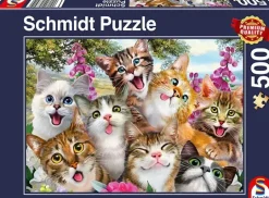 Schmidt: Cat Selfie (500)